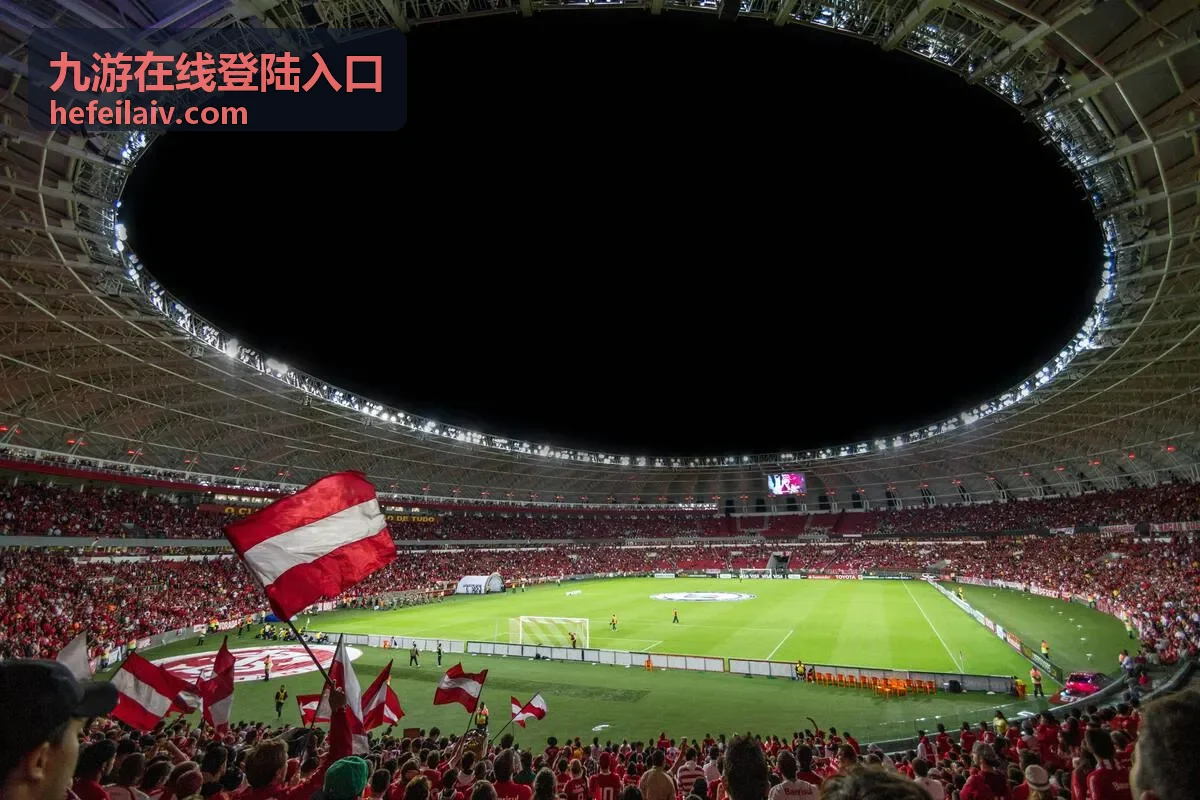 九游在线登陆入口设备与网络排查示意